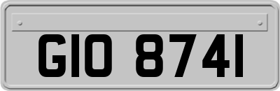 GIO8741