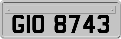 GIO8743