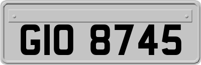GIO8745