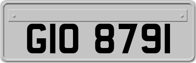 GIO8791
