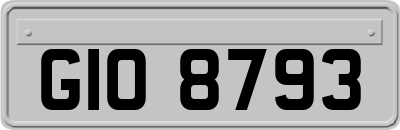 GIO8793