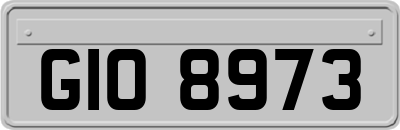 GIO8973