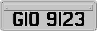 GIO9123