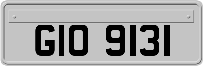 GIO9131
