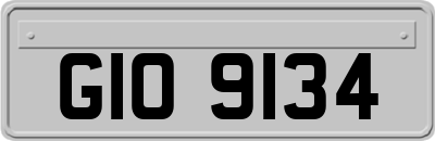 GIO9134