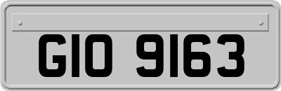 GIO9163
