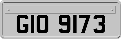 GIO9173