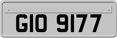 GIO9177