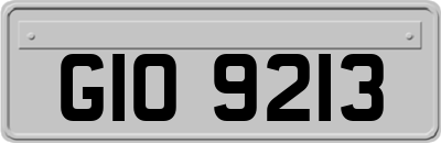 GIO9213