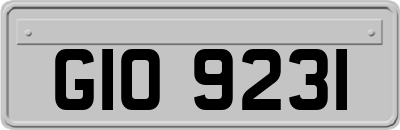 GIO9231