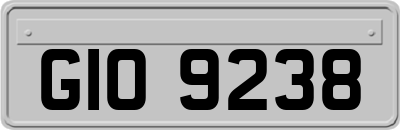 GIO9238