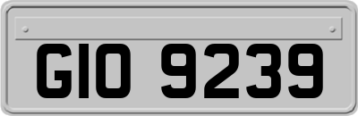 GIO9239