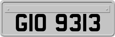 GIO9313
