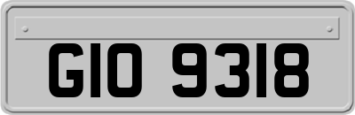 GIO9318