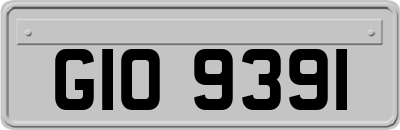 GIO9391