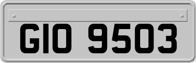 GIO9503