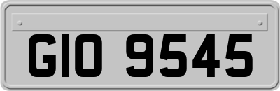 GIO9545