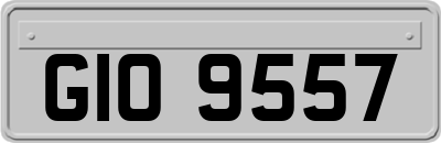 GIO9557