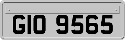 GIO9565