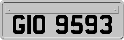 GIO9593