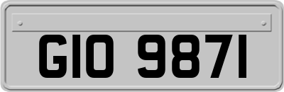 GIO9871