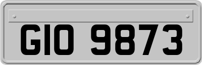 GIO9873