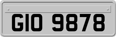 GIO9878