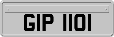 GIP1101