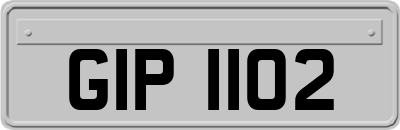 GIP1102
