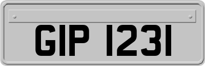 GIP1231