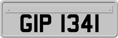 GIP1341