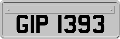GIP1393