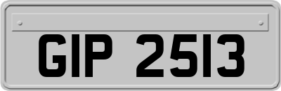 GIP2513