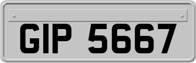 GIP5667