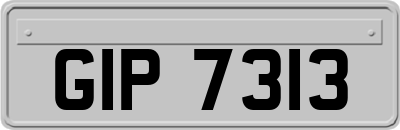 GIP7313