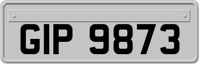 GIP9873
