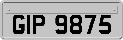 GIP9875