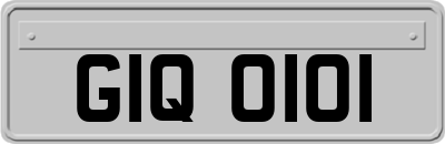 GIQ0101