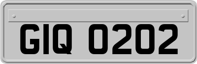 GIQ0202