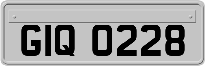 GIQ0228