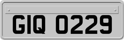 GIQ0229
