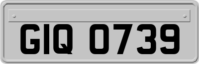 GIQ0739