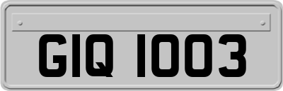 GIQ1003