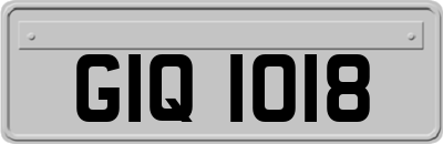 GIQ1018