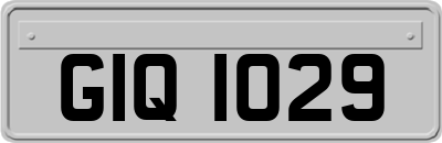 GIQ1029