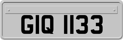 GIQ1133