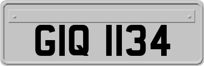 GIQ1134