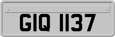 GIQ1137