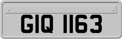 GIQ1163