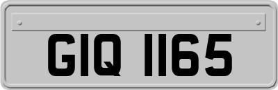 GIQ1165